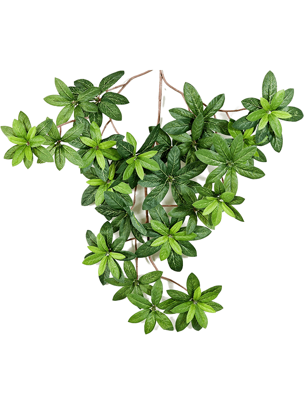 30/azalea-leaf-spray-8fw01575n