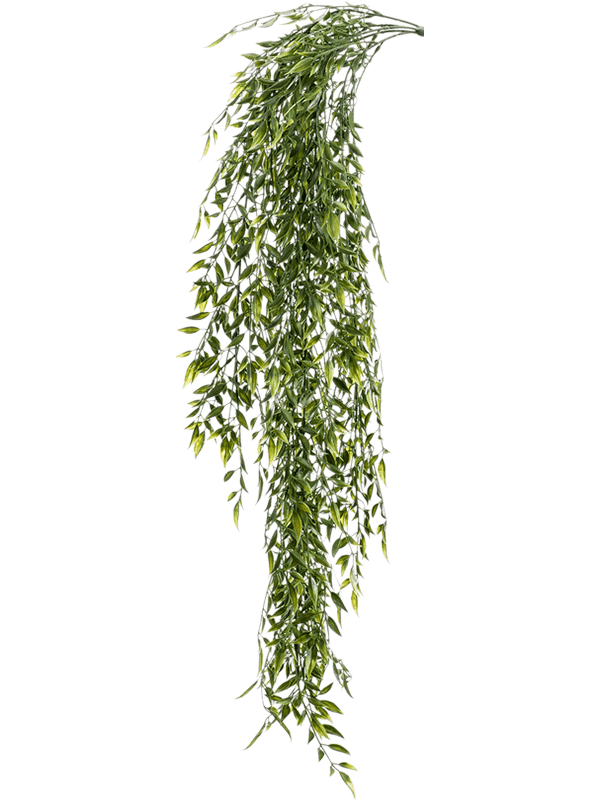 30/bamboo-mix-8ee421433