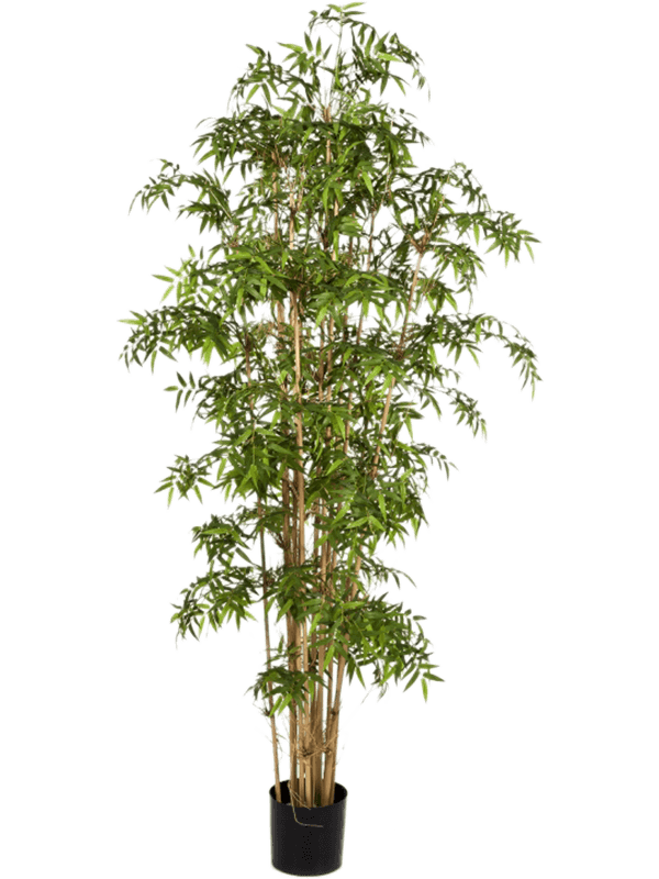 30/new-japanese-bamboo-8fw34107n