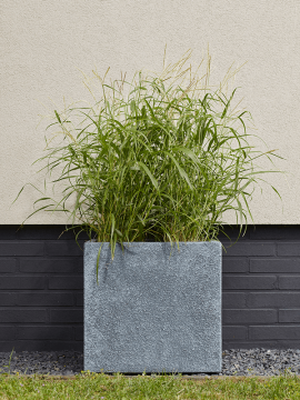 nieuwkoop-planters/6MAR37674_1