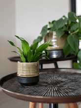 Кашпо Marlijn (Pot Thyme) Арт: 6PTR69800 1