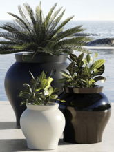 Кашпо Venus (Basic round color:) Арт: 6VONVNSB1 1