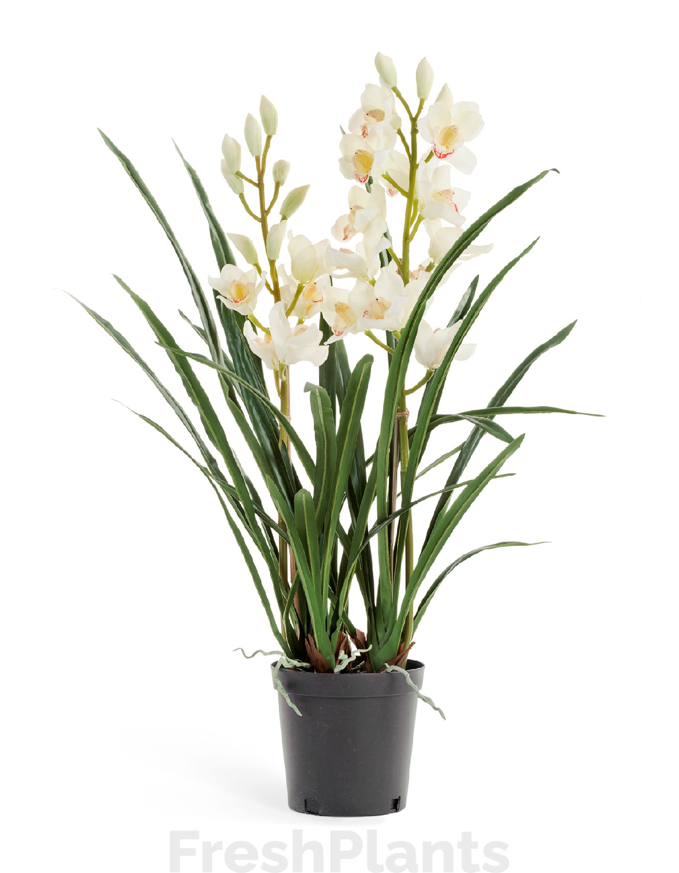 Орхидея Цимбидиум белая куст в кашпо 2 ветки искусственная 10.0610058