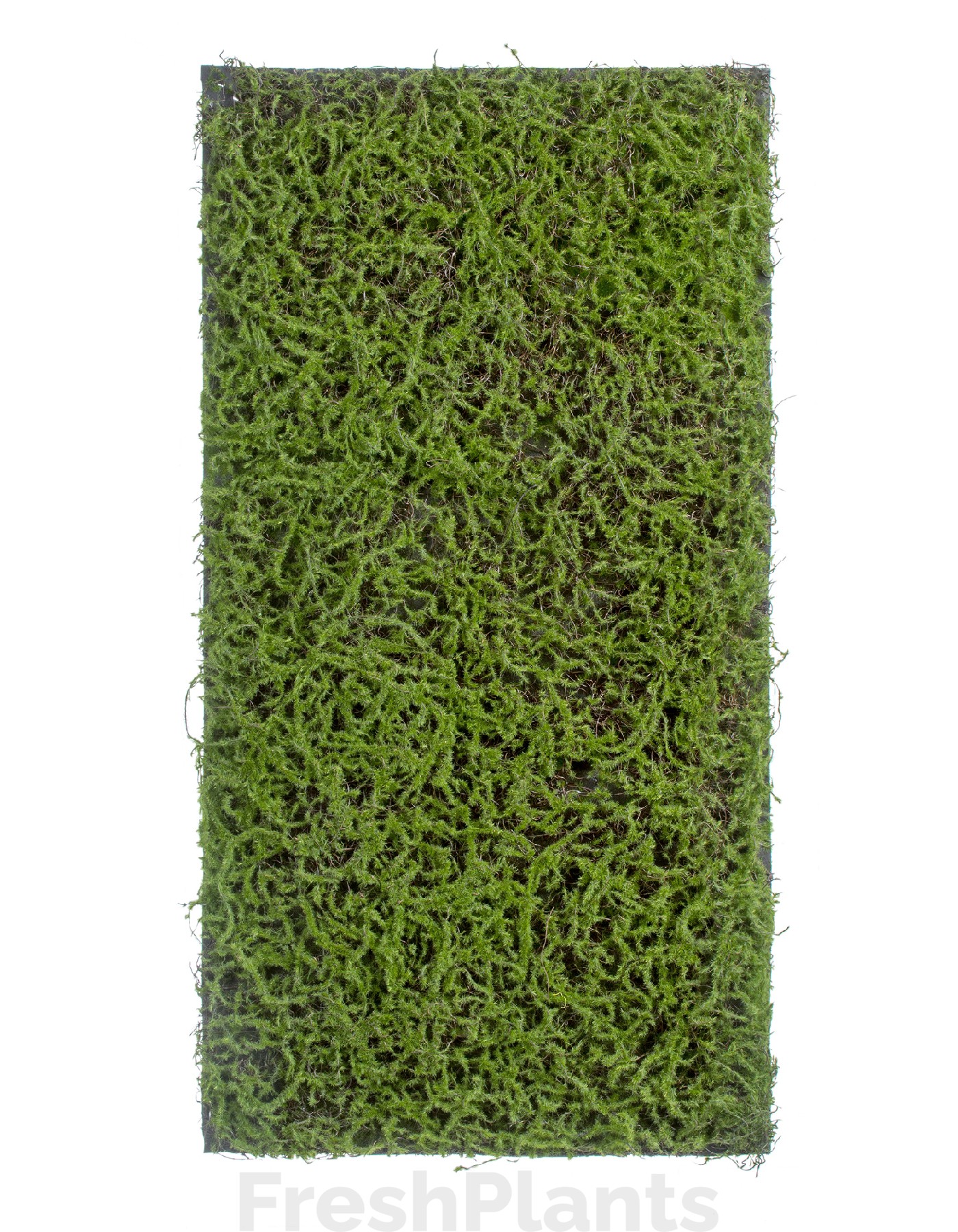 Мох Сфагнум Fuscum зелёный (полотно среднее) искусственный 20.0820411M