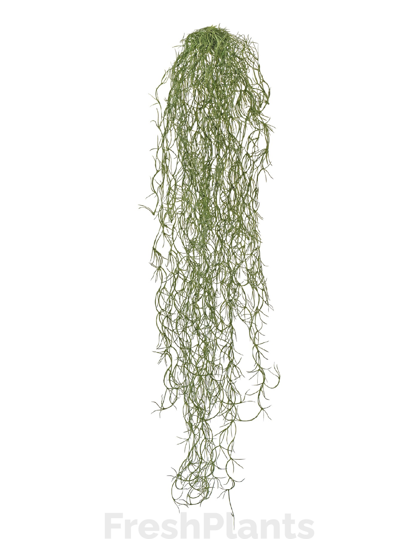 Тилландсия-паутинка Литл серо-зелёная припылённая искусственная 20.091608