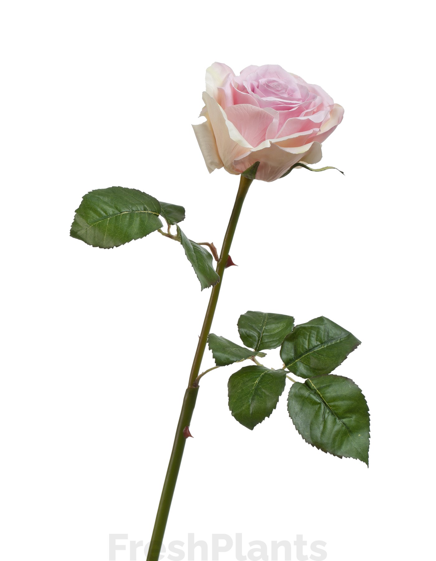 Роза Верди нежно-сиренево-розовая с кремовым искусственная 30.03150253LP