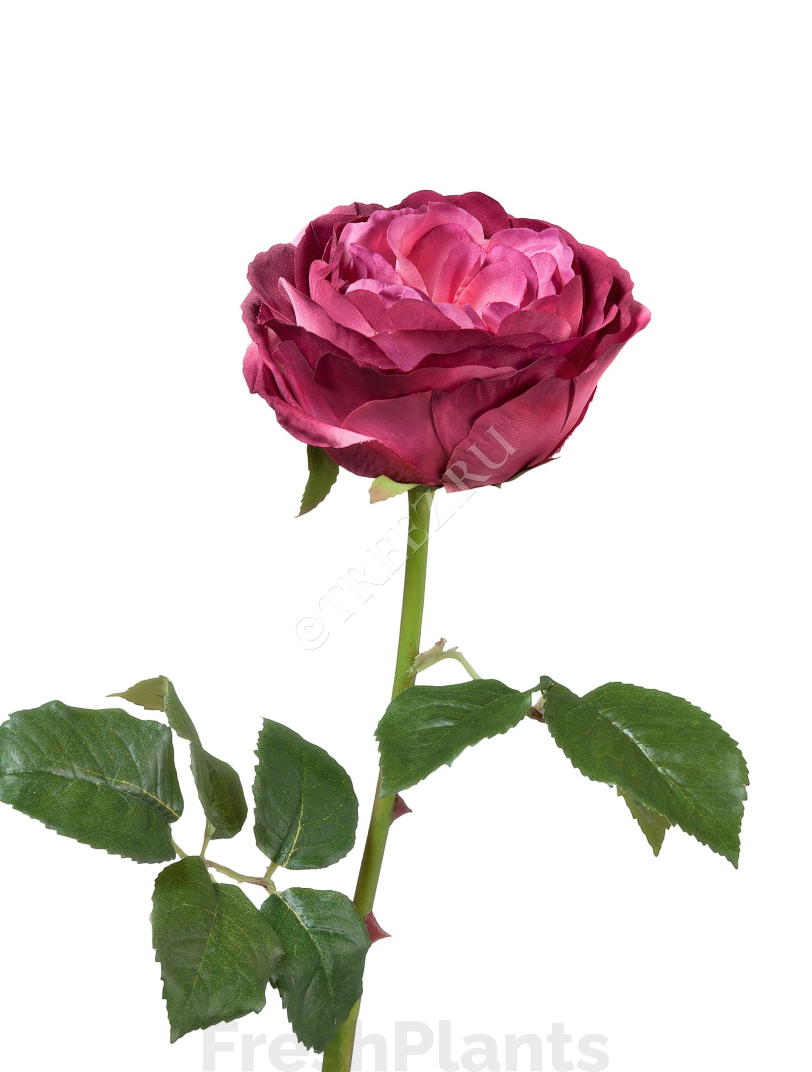 Роза Джема тёмная фуксия искусственная 30.03150254FU