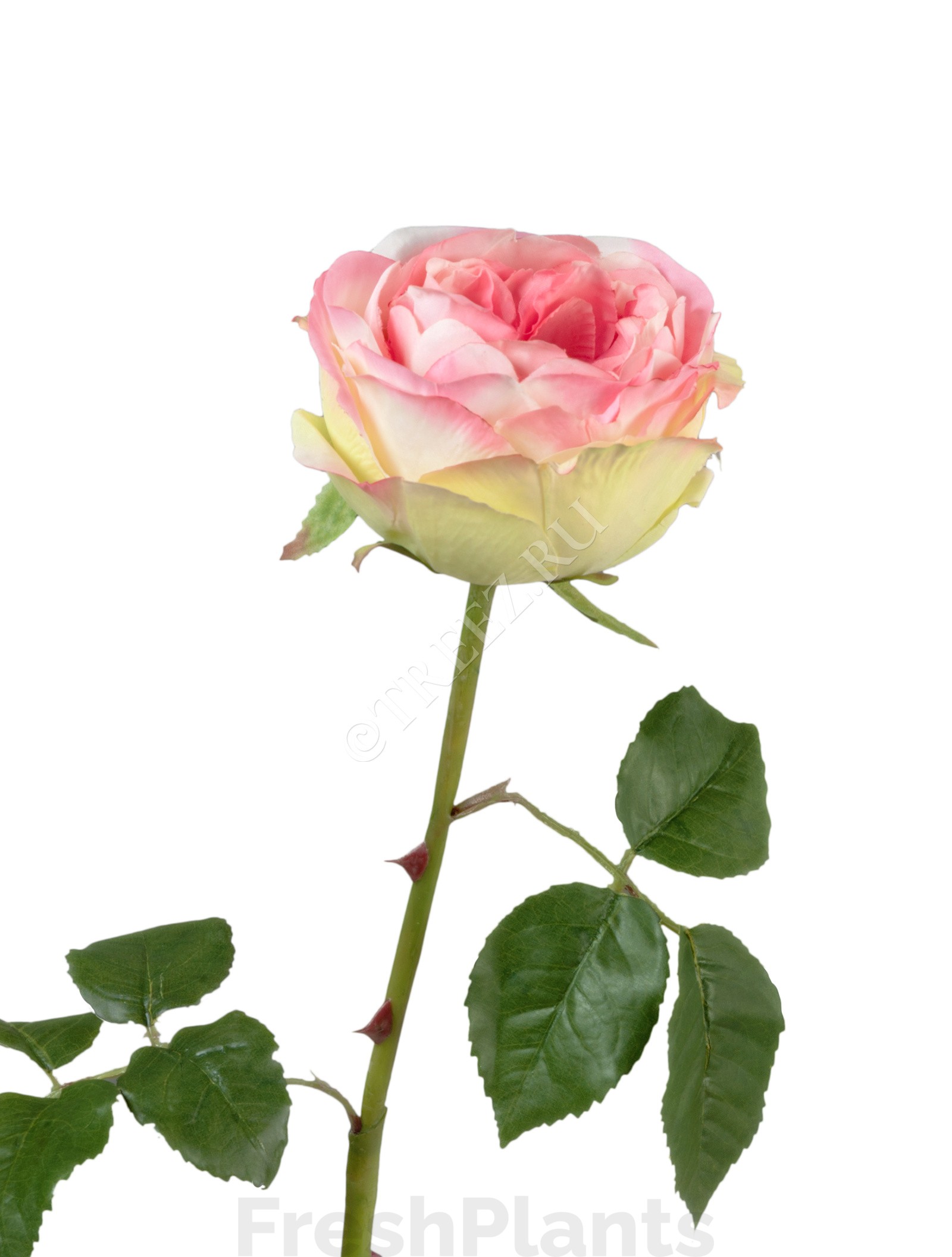Роза Джема ярко-розовая со св.лаймом искусственная 30.03150254PK