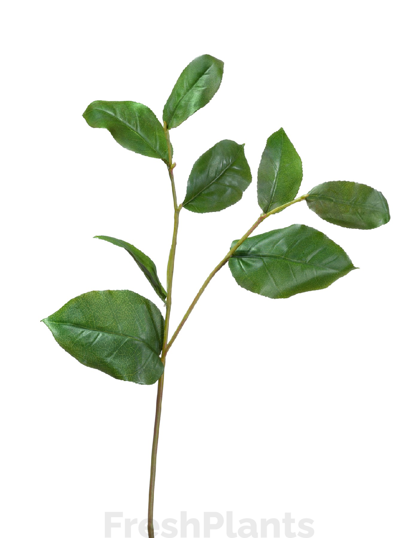 Ветвь Салала с зелёными листами искусственная 30.0611071