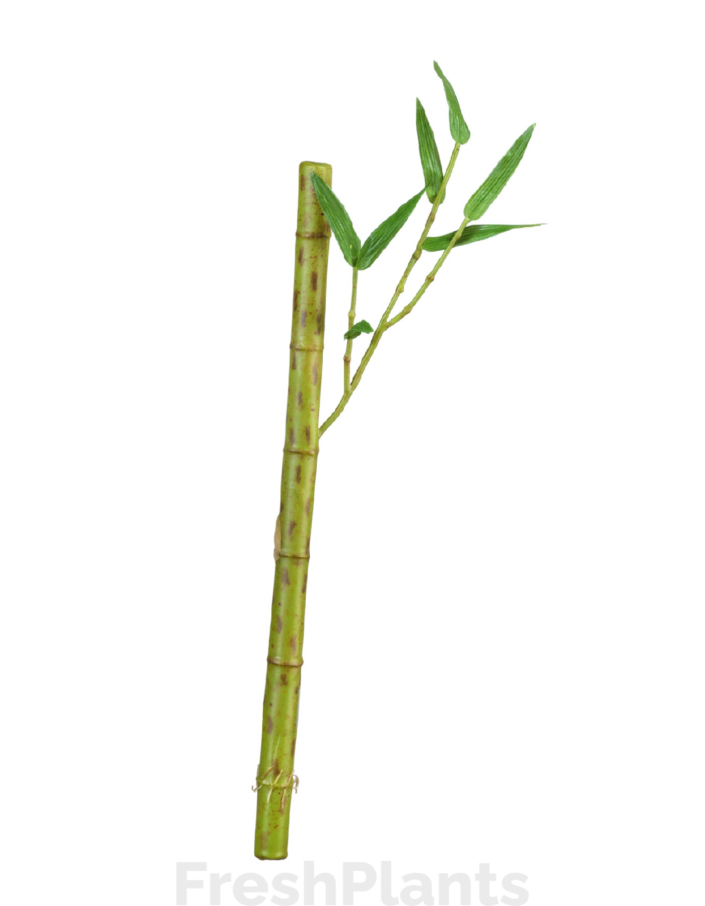Бамбук стебель длинный св.зелёный с веточкой искусственный 30.0611073LG