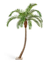 Финиковая пальма Гигантская изогнутая искусственная 10.47330N, 10.47333N, 10.47336N, 10.47339N