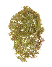 Ватер-грасс (Рясковый мох) куст светло-коричнево-зелёный искусственный 20.071617-BR