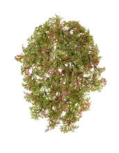 Ватер-грасс (Рясковый мох) куст зелёный с бордо искусственный 20.071617-RG