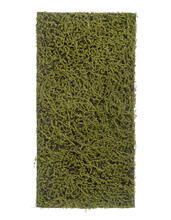 Мох Сфагнум Fuscum оливково-зелёный (полотно среднее) искусственный 20.0820412M