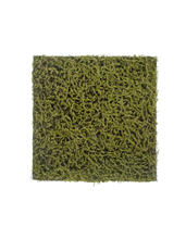 Мох Сфагнум Fuscum оливково-зелёный (полотно) искусственный 20.0820412S