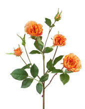 Роза Вайлд ветвь персиково-оранжевая искусственная 30.0613111OR