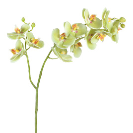 Орхидея Фаленопсис св.лайм ветвь двойная искусственная 30.0614165LYG
