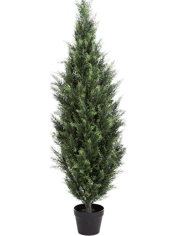 30/cedar-tower-8fw60135b