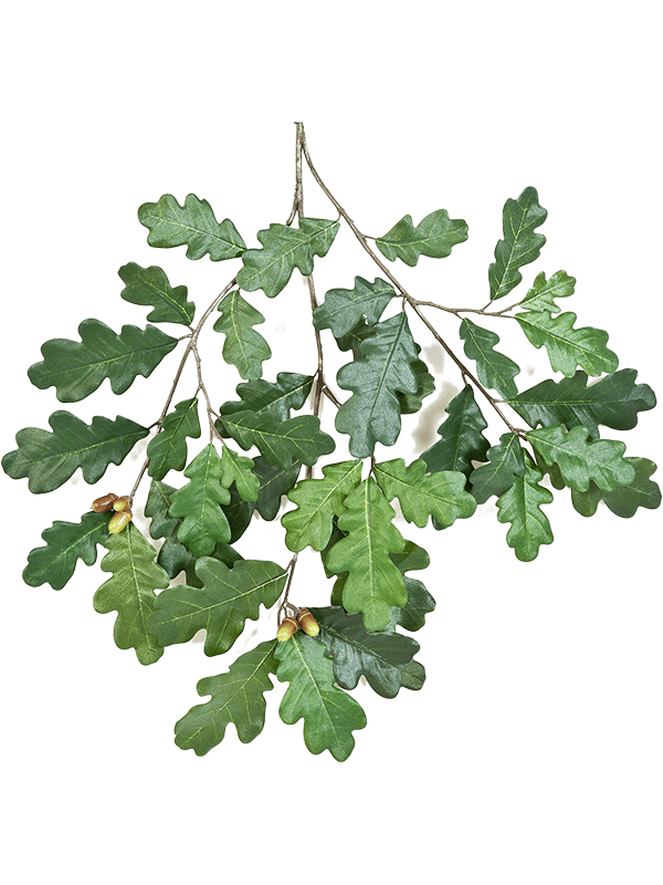 30/common-oak-spray-with-fruits-8fw1598fr