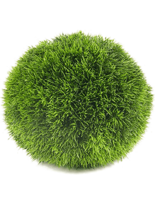 30/grass-8eegr17184