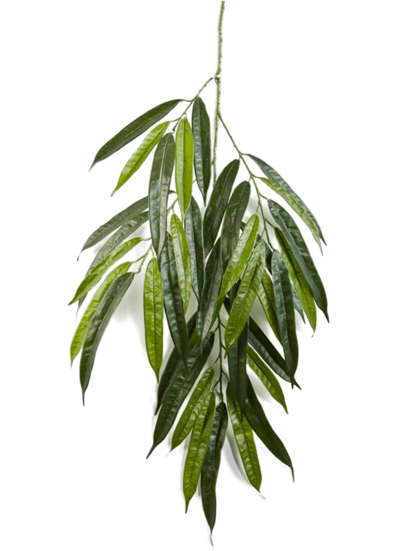 30/longifolia-spray-8fw1624fr