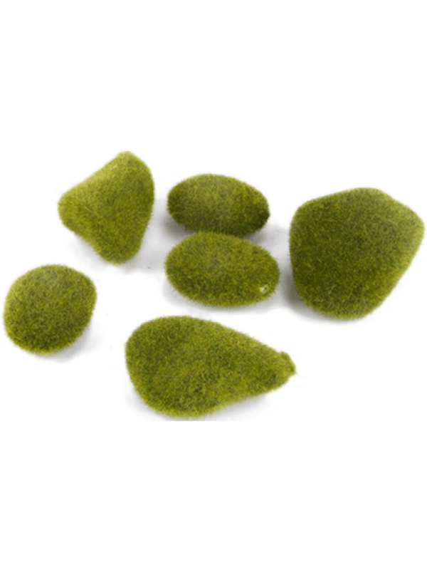 30/moss-stone-8eeg14730