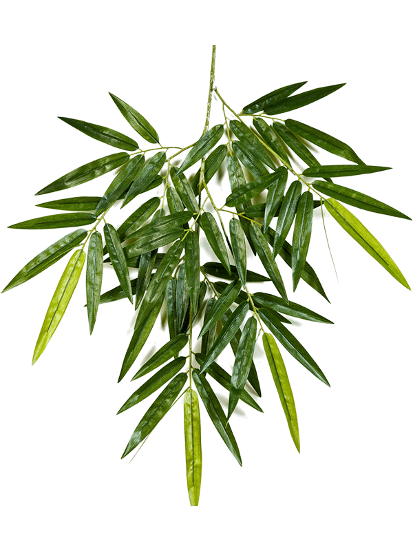 30/new-bamboo-spray-8fw1484n