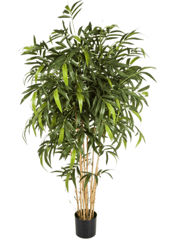 30/new-natural-bamboo-8fw35706n