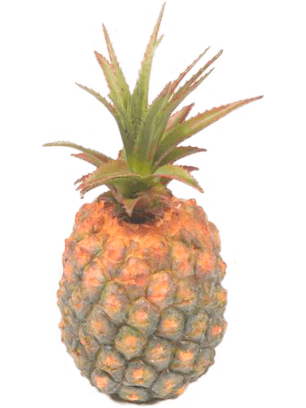 30/pineapple-8eepa15714