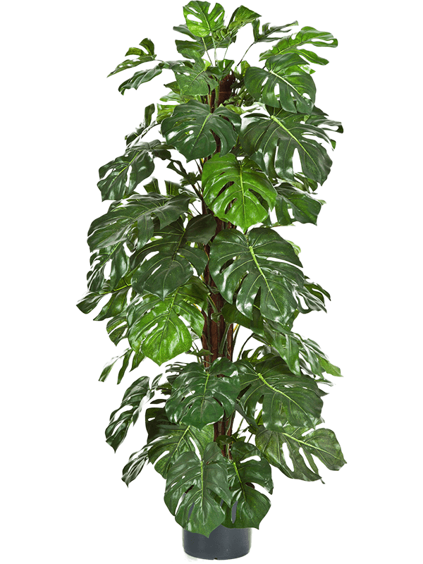 30/split-philo-8fw1028n