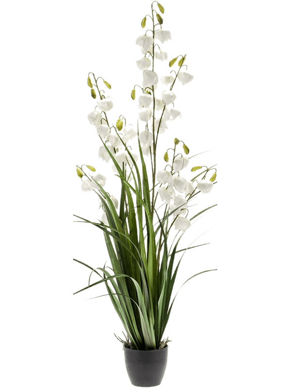 30/yucca-grass-8ee420291