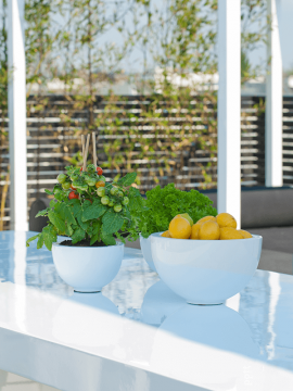 nieuwkoop-planters/6FSTGWPS01_1