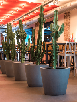 nieuwkoop-planters/6FSTRBG50_2