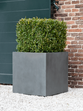 nieuwkoop-planters/6FSTSBG50_1