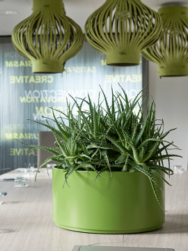 nieuwkoop-planters/6HLU04810_1