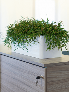 nieuwkoop-planters/6HLU05430_1