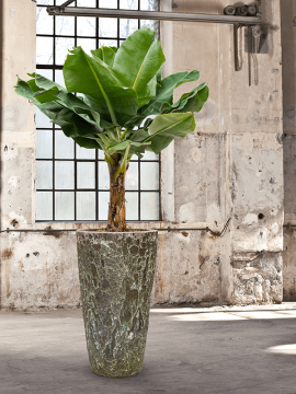 nieuwkoop-planters/6LAVP650J_1