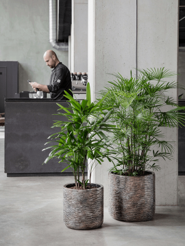 nieuwkoop-planters/6LXLAXC38_1