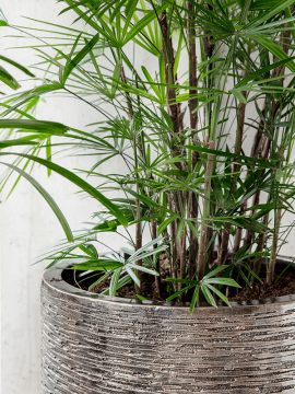 nieuwkoop-planters/6LXLAXC38_2