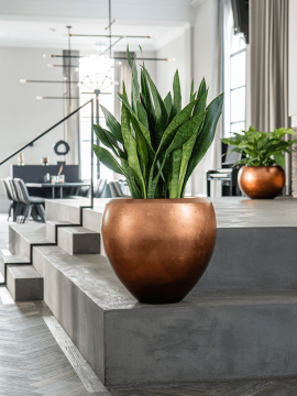 nieuwkoop-planters/6MTLD50CR_1