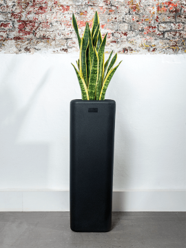 nieuwkoop-planters/6OTIMU2BL_2