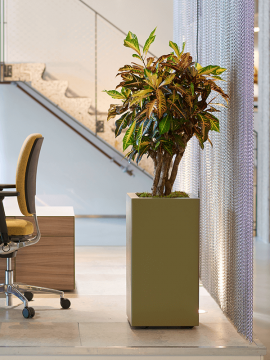 nieuwkoop-planters/6PRG01670_1