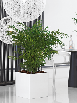nieuwkoop-planters/6PRG01870_1