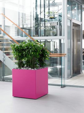 nieuwkoop-planters/6PRG01870_2