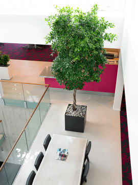 nieuwkoop-planters/6PRG01870_3