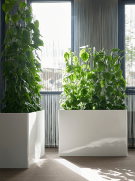 nieuwkoop-planters/6PRG02170_3