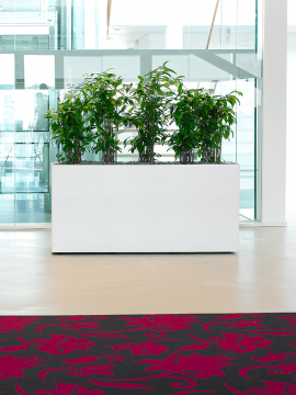 nieuwkoop-planters/6PRG02590_2