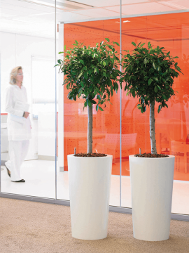 nieuwkoop-planters/6PRI03320_1