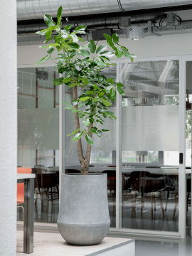 nieuwkoop-planters/6PSC114RG_1