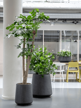 nieuwkoop-planters/6RDPAT114_1